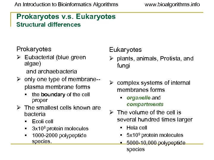 An Introduction to Bioinformatics Algorithms www. bioalgorithms. info Prokaryotes v. s. Eukaryotes Structural differences