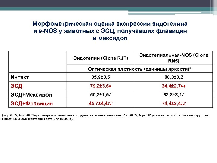 Морфометрическая оценка экспрессии эндотелина и е-NOS у животных с ЭСД, получавших флавицин и мексидол