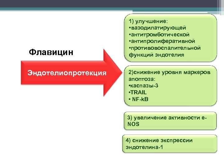 Флавицин Эндотелиопротекция 1) улучшение: 19 • вазодилатирующей • антитромботической • антипролиферативной • противовоспалительной функций