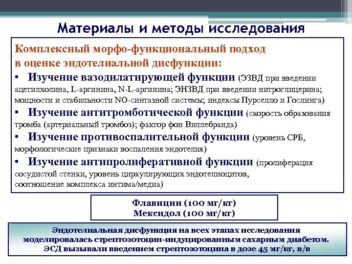 Материалы и методы исследования Комплексный морфо-функциональный подход в оценке эндотелиальной дисфункции: • Изучение вазодилатирующей