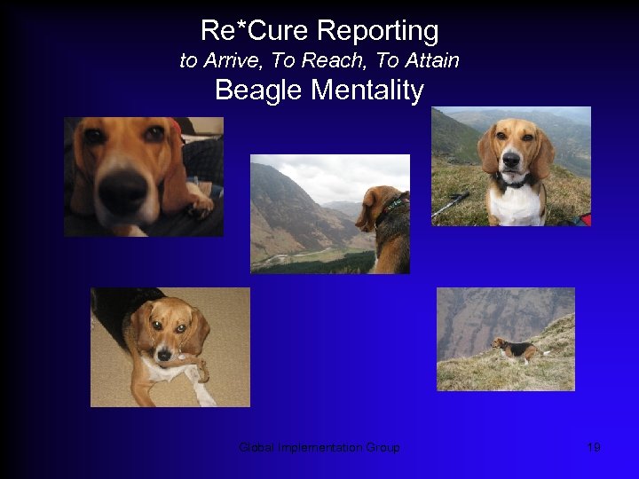 Re*Cure Reporting to Arrive, To Reach, To Attain Beagle Mentality Global Implementation Group 19