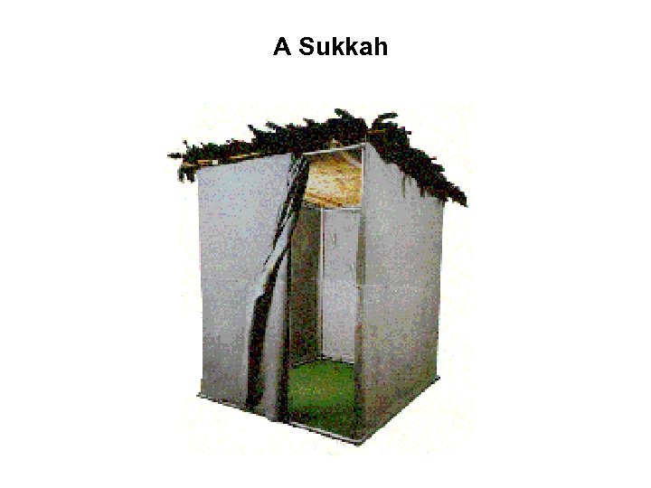 A Sukkah 