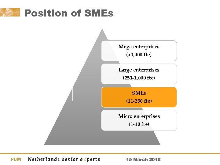 Position of SMEs Mega enterprises (>1, 000 fte) Large enterprises (251 -1, 000 fte)