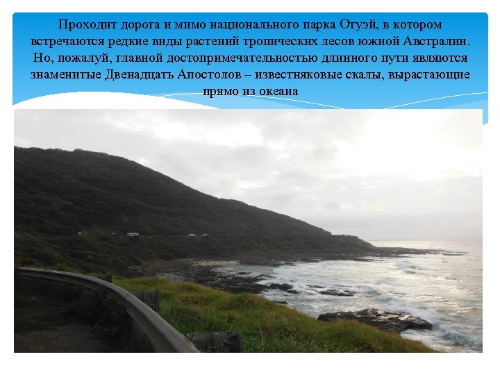 Проходит дорога и мимо национального парка Отуэй, в котором встречаются редкие виды растений тропических