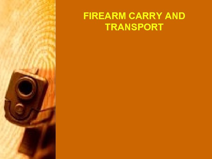 FIREARM CARRY AND TRANSPORT 