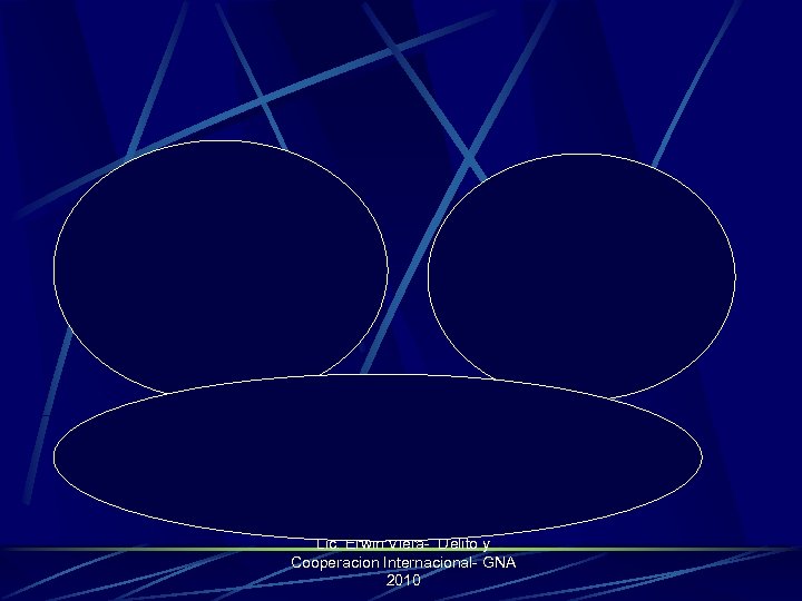 Lic. Erwin Viera- Delito y Cooperacion Internacional- GNA 2010 