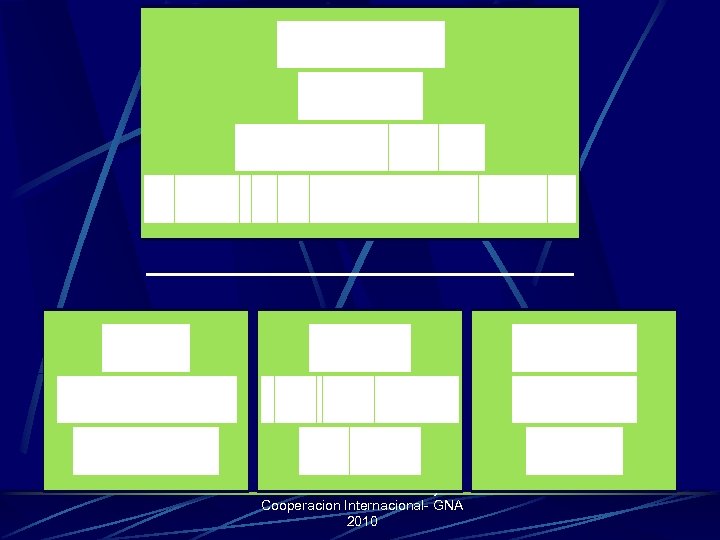 Lic. Erwin Viera- Delito y Cooperacion Internacional- GNA 2010 