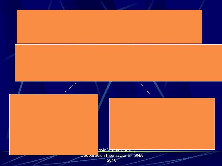 Lic. Erwin Viera- Delito y Cooperacion Internacional- GNA 2010 