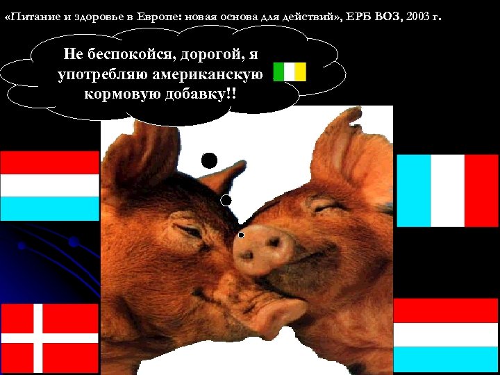  «Питание и здоровье в Европе: новая основа для действий» , ЕРБ ВОЗ, 2003