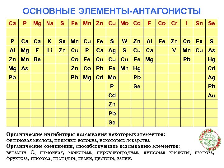 ОСНОВНЫЕ ЭЛЕМЕНТЫ-АНТАГОНИСТЫ Ca P P Mg Na Ca Ca Al Mg F S Fe