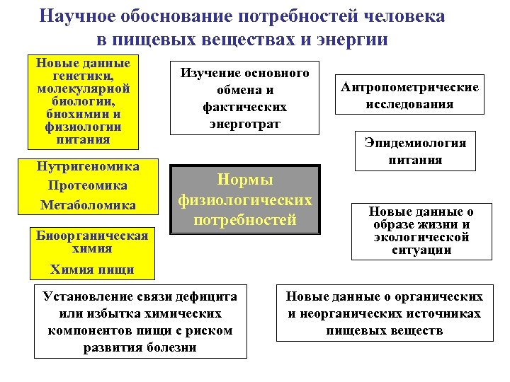 Научное обоснование потребностей человека в пищевых веществах и энергии Новые данные генетики, молекулярной биологии,