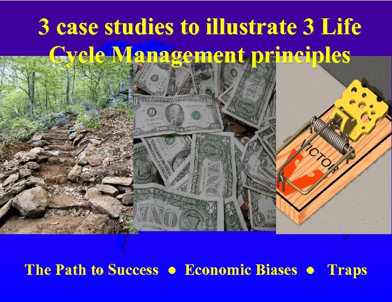 3 case studies to illustrate 3 Life Cycle Management principles The Path to Success