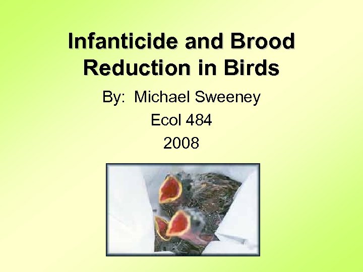 Infanticide and Brood Reduction in Birds By: Michael Sweeney Ecol 484 2008 