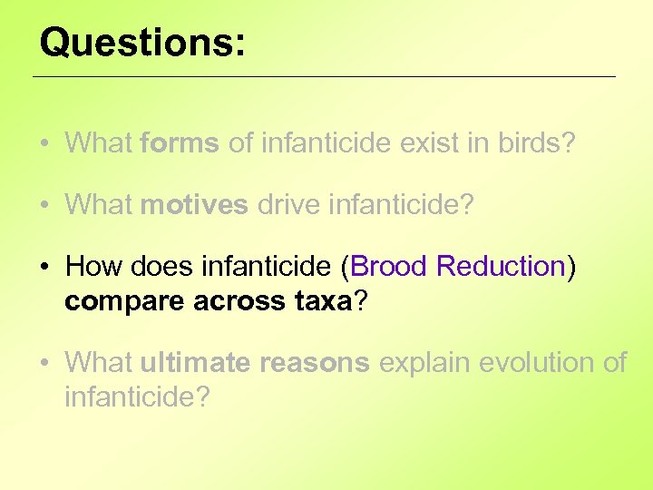 Questions: • What forms of infanticide exist in birds? • What motives drive infanticide?