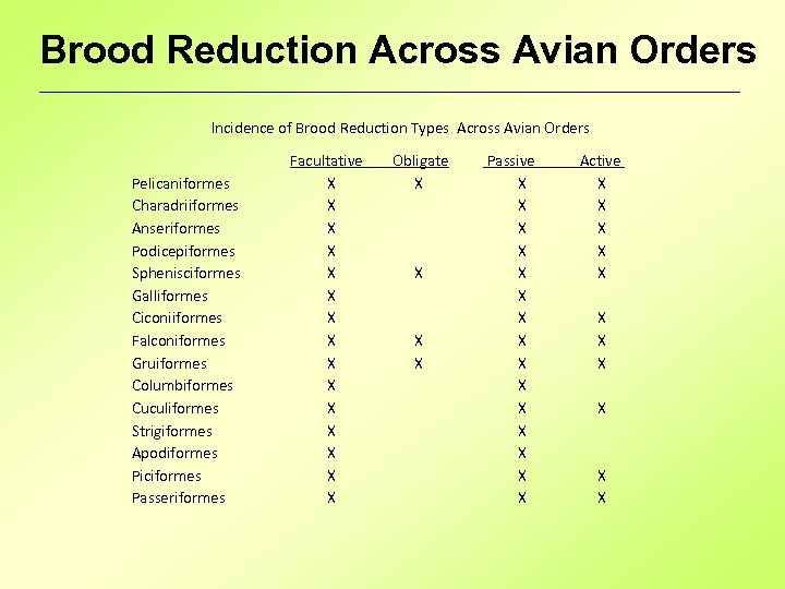 Brood Reduction Across Avian Orders Incidence of Brood Reduction Types Across Avian Orders Pelicaniformes