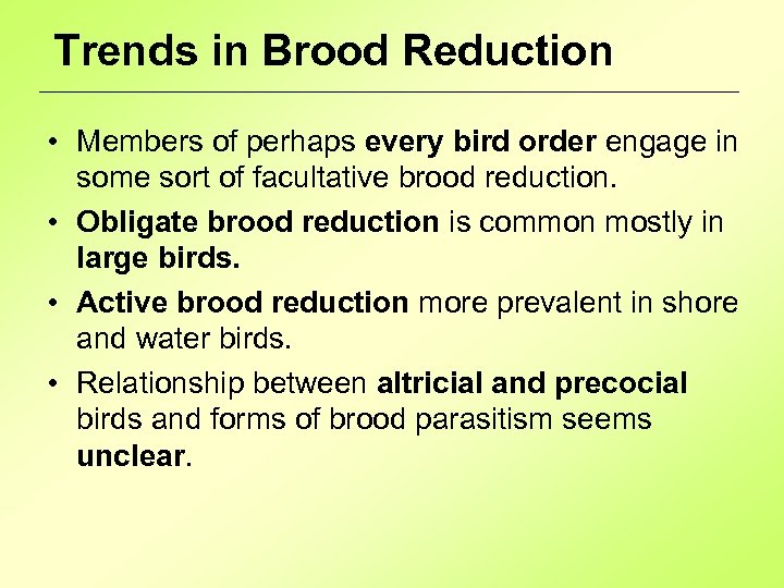 Trends in Brood Reduction • Members of perhaps every bird order engage in some