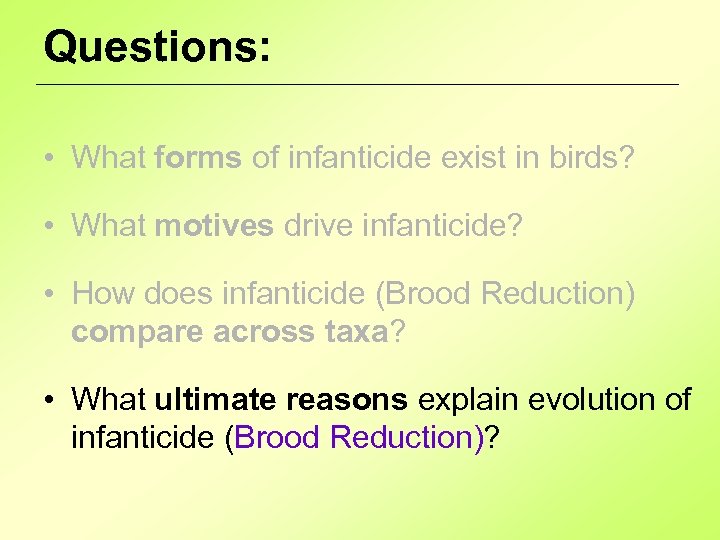 Questions: • What forms of infanticide exist in birds? • What motives drive infanticide?