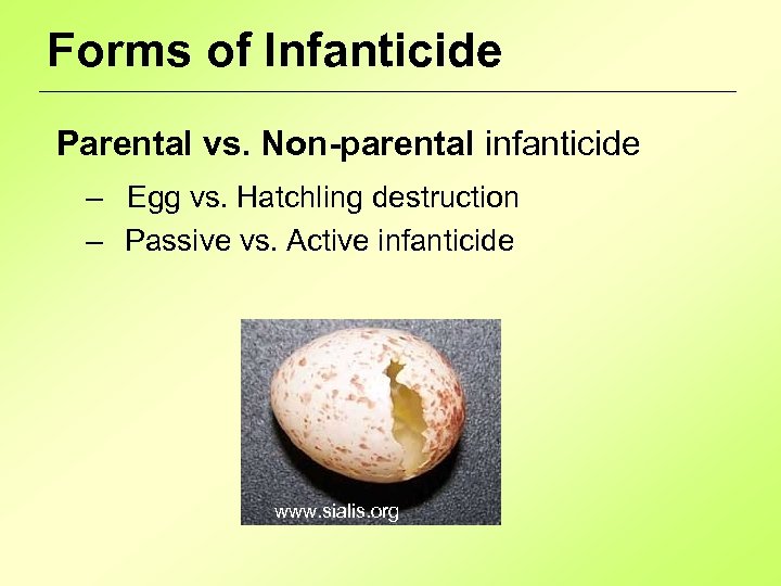 Forms of Infanticide Parental vs. Non-parental infanticide – Egg vs. Hatchling destruction – Passive