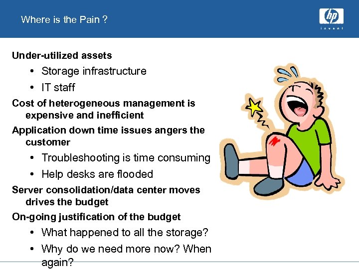 Where is the Pain ? Under-utilized assets • Storage infrastructure • IT staff Cost