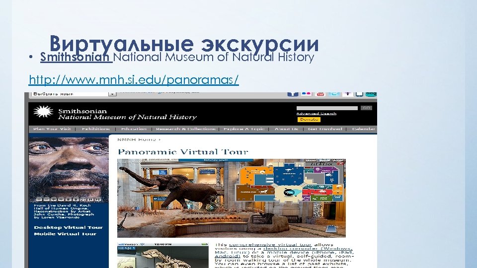  • Виртуальные экскурсии Smithsonian National Museum of Natural History http: //www. mnh. si.