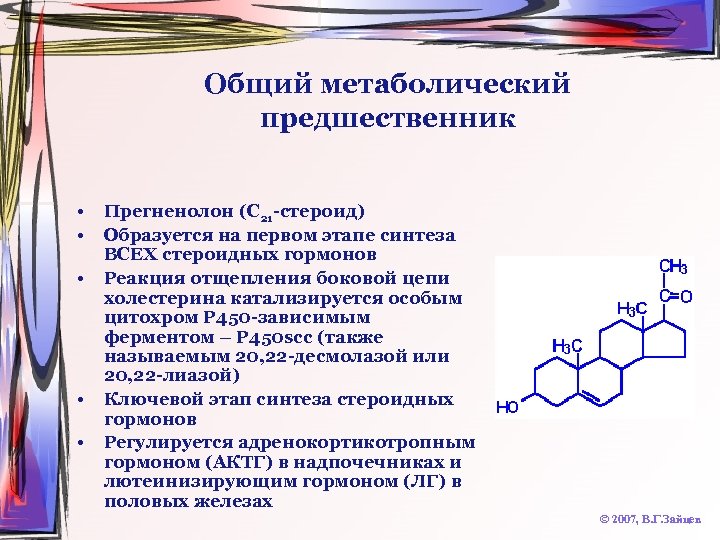 Общий метаболический предшественник • • • Прегненолон (C 21 -стероид) Образуется на первом этапе