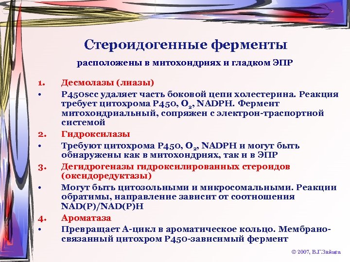 Стероидогенные ферменты расположены в митохондриях и гладком ЭПР 1. • 2. • 3. •