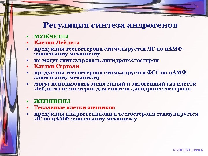 Регуляция синтеза андрогенов • • • МУЖЧИНЫ Клетки Лейдига продукция тестостерона стимулируется ЛГ по
