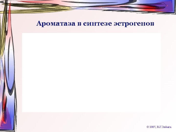 Ароматаза в синтезе эстрогенов © 2007, В. Г. Зайцев 
