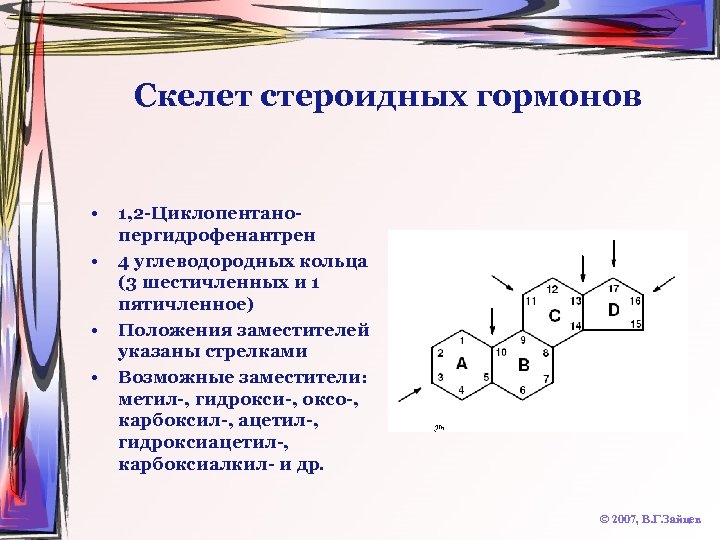 Скелет стероидных гормонов • • 1, 2 -Циклопентанопергидрофенантрен 4 углеводородных кольца (3 шестичленных и