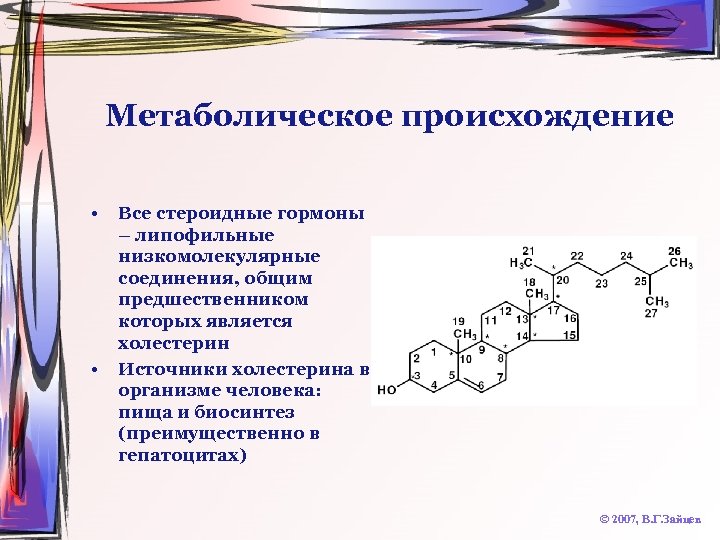 Метаболическое происхождение • • Все стероидные гормоны – липофильные низкомолекулярные соединения, общим предшественником которых