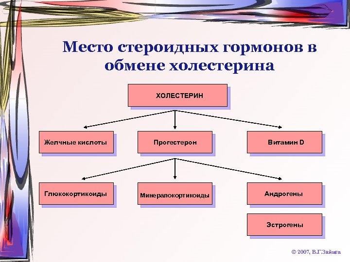 Место стероидных гормонов в обмене холестерина ХОЛЕСТЕРИН Желчные кислоты Прогестерон Глюкокортикоиды Минералокортикоиды Витамин D