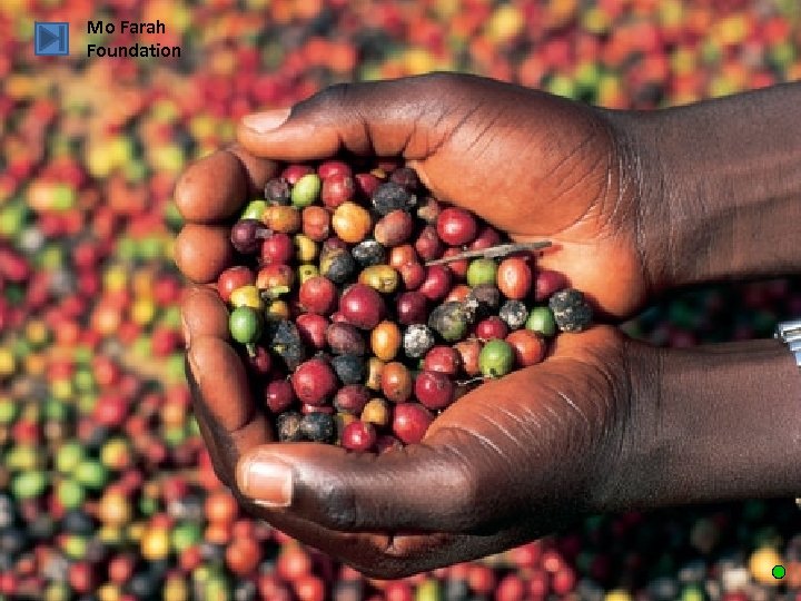 Mo Farah Foundation The Mo Farah Foundation distributes Family Food Baskets containing rice, maize,