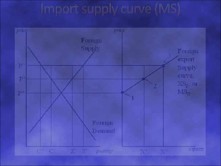 Import supply curve (MS) 