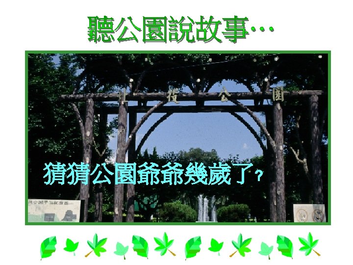 猜猜公園爺爺幾歲了﹖ 