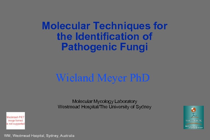 Molecular Techniques for the Identification of Pathogenic Fungi Wieland Meyer Ph. D Molecular Mycology