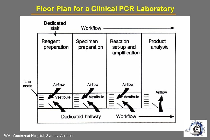 Floor Plan for a Clinical PCR Laboratory WM, Westmead Hospital, Sydney, Australia 