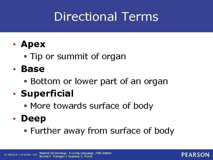 Directional Terms • Apex § Tip or summit of organ • Base § Bottom