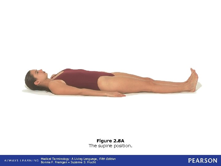 Figure 2. 8 A The supine position. Medical Terminology: A Living Language, Fifth Edition
