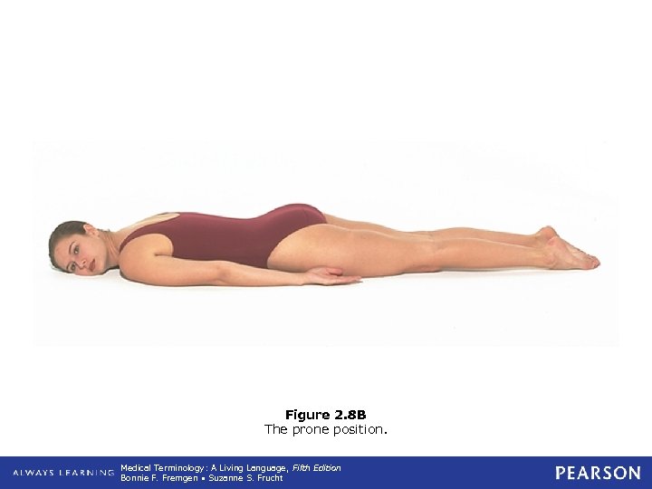 Figure 2. 8 B The prone position. Medical Terminology: A Living Language, Fifth Edition