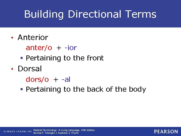 Building Directional Terms • Anterior anter/o + -ior § Pertaining to the front •