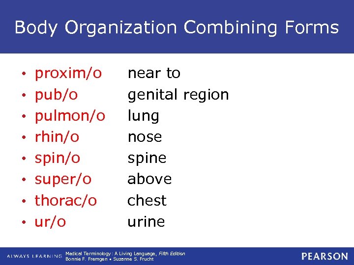 Body Organization Combining Forms • • proxim/o pub/o pulmon/o rhin/o spin/o super/o thorac/o ur/o