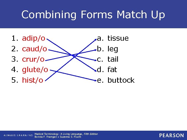 Combining Forms Match Up 1. 2. 3. 4. 5. adip/o caud/o crur/o glute/o hist/o