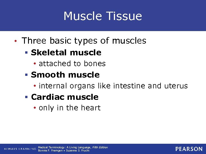 Muscle Tissue • Three basic types of muscles § Skeletal muscle • attached to