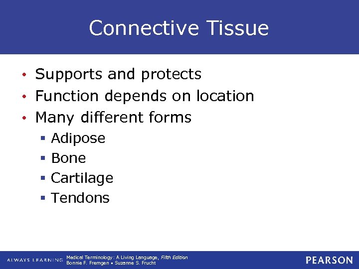 Connective Tissue • Supports and protects • Function depends on location • Many different