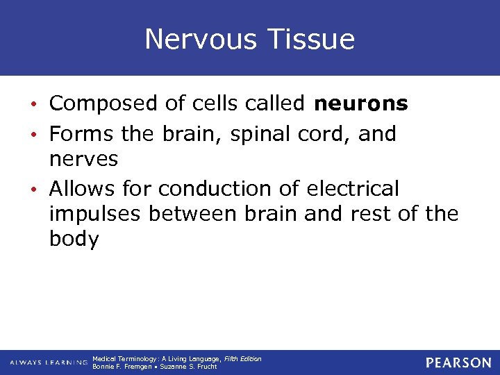 Nervous Tissue • Composed of cells called neurons • Forms the brain, spinal cord,