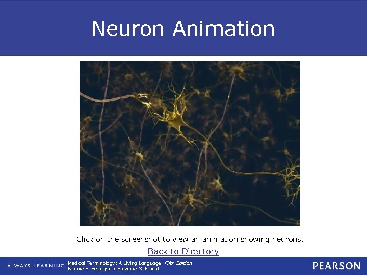 Neuron Animation Click on the screenshot to view an animation showing neurons. Back to