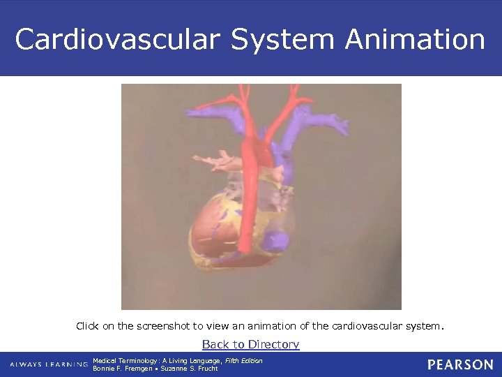 Cardiovascular System Animation Click on the screenshot to view an animation of the cardiovascular
