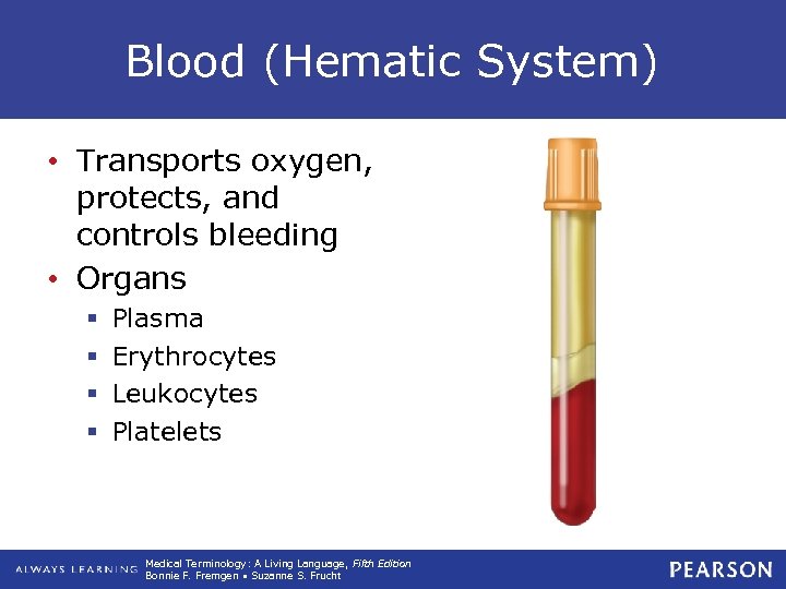 Blood (Hematic System) • Transports oxygen, protects, and controls bleeding • Organs § §