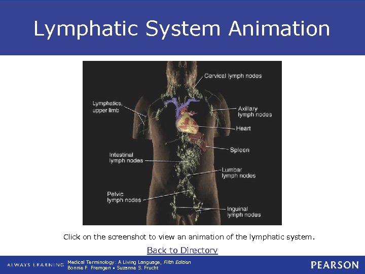 Lymphatic System Animation Click on the screenshot to view an animation of the lymphatic
