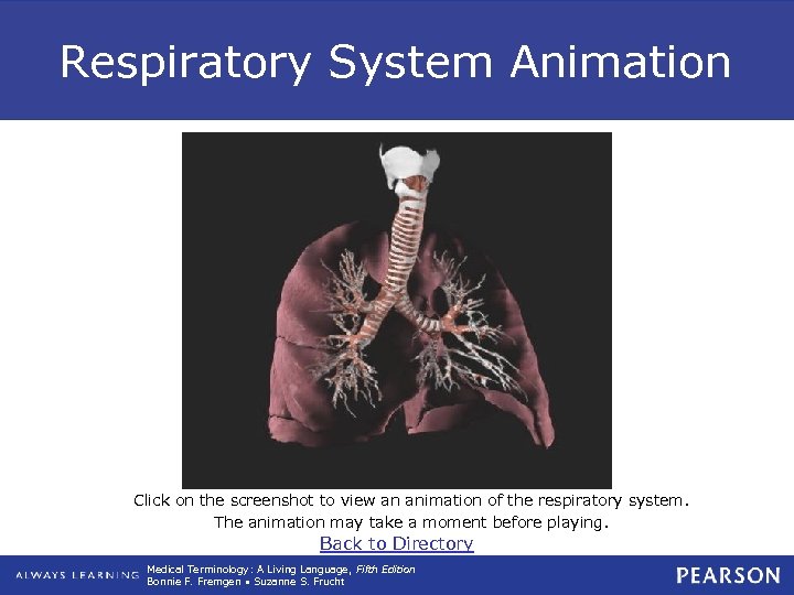 Respiratory System Animation Click on the screenshot to view an animation of the respiratory